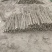 麻山药大量上市价格优惠一手货源支持视频看货欢迎采购