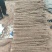 麻山药大量上市价格优惠一手货源支持视频看货欢迎采购