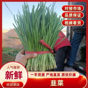 韭菜，货源充足，大棚种植，质量保证，平台，电商，食品厂，