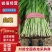 河北宽叶韭菜，**，平台。电商，食品厂，