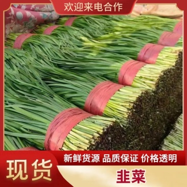 河北韭菜。大棚种植，平台，电商，食品厂。**产品。