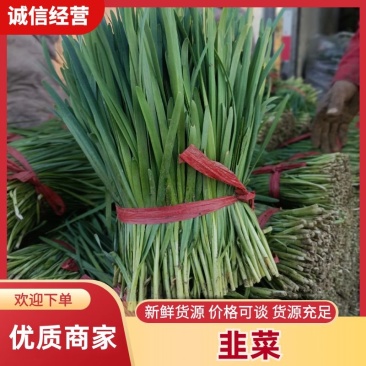 河北宽叶韭菜，万亩产地，大棚种植。现割现发。质量保证。