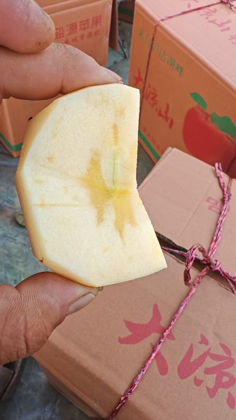 精品糖心红富士丑苹果，冰糖心苹果欢迎老板选购