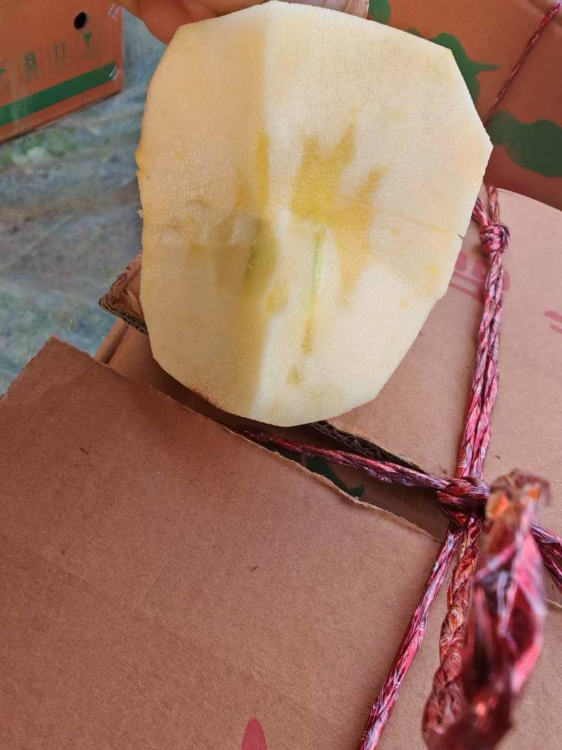 精品糖心红富士丑苹果，冰糖心苹果欢迎老板选购