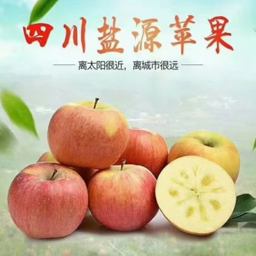 精品糖心红富士丑苹果，冰糖心苹果欢迎老板选购