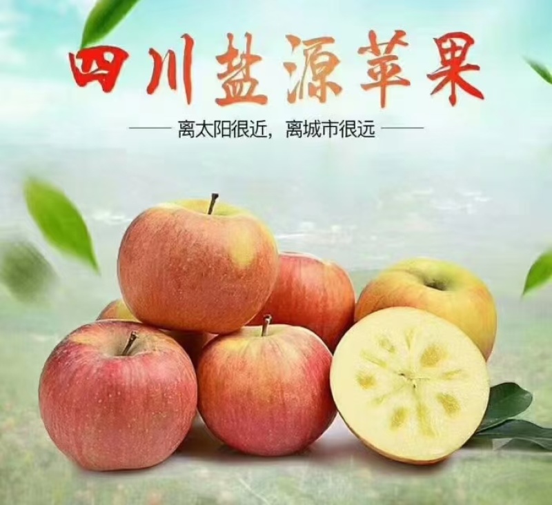 精品糖心红富士丑苹果，冰糖心苹果欢迎老板选购