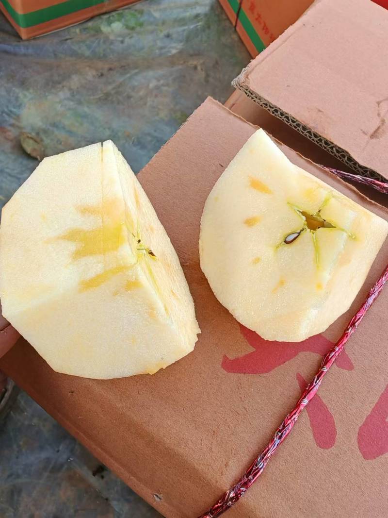 精品糖心红富士丑苹果，冰糖心苹果欢迎老板选购