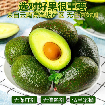 牛油果云南哈斯产地直发各平台支持一件代发