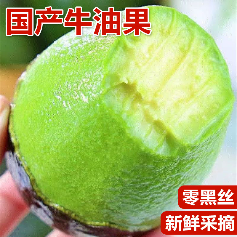 牛油果云南哈斯产地直发各平台支持一件代发
