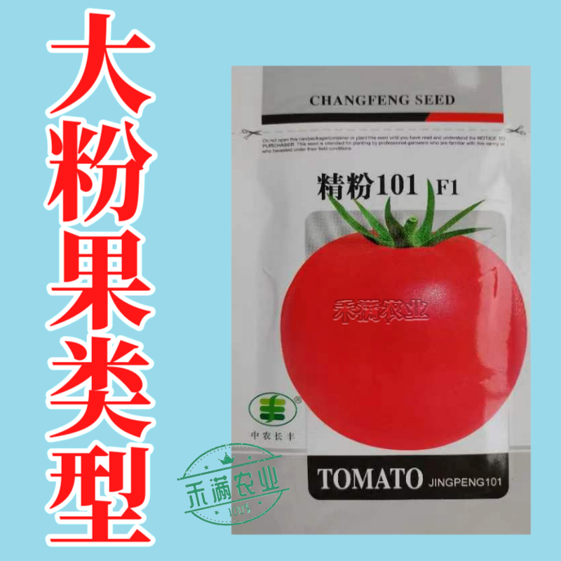 粉番茄种子非普罗旺斯沙瓤西红柿西红柿种子