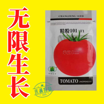 粉番茄种子非普罗旺斯沙瓤西红柿西红柿种子
