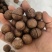 【实力】夏威夷果奶香味诚招代理欢迎电话咨询与合作共赢