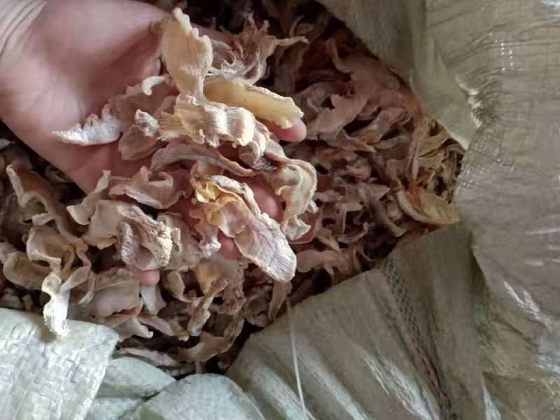 【实力供货】毛笋干笋干品质保证果芝然商贸欢迎如您共赢