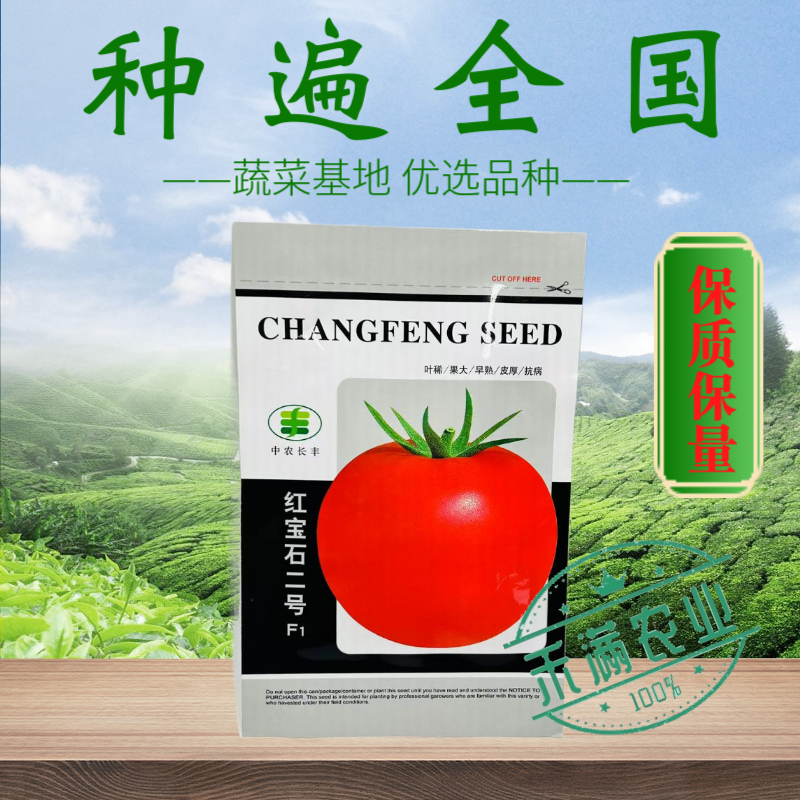 正宗基地品无限生长大红番茄种籽耐热大红果抗病毒西红柿种子