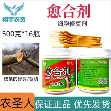 山东农圣人愈合剂