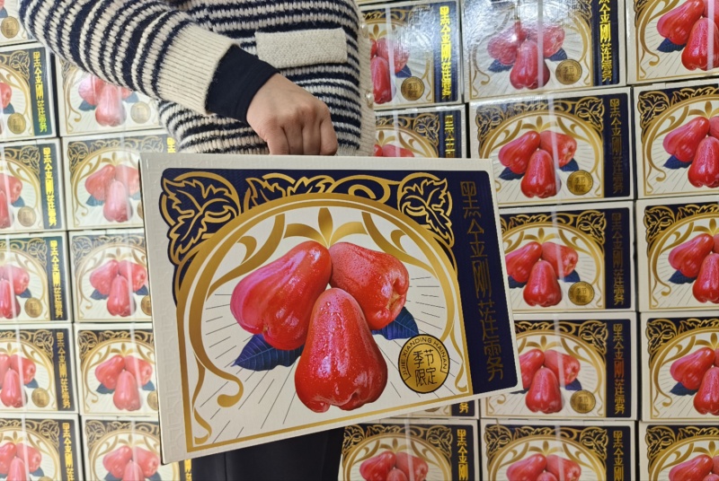 海南黑金刚莲雾一件代发产地直发一手货源对接各大电商平台