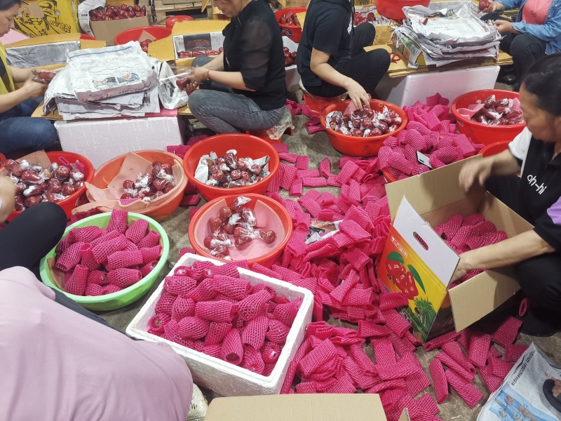 海南黑金刚莲雾一件代发产地直发一手货源对接各大电商平台