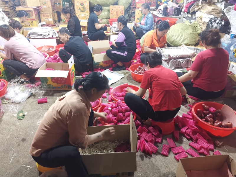 海南黑金刚莲雾一件代发产地直发一手货源对接各大电商平台