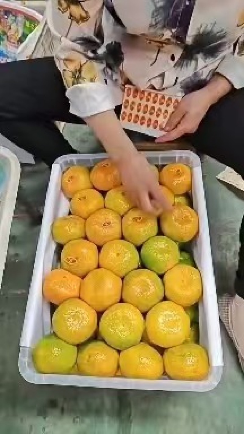 蜜桔，柑橘，湖北蜜桔产地发货商超品质货源稳定欢迎咨询