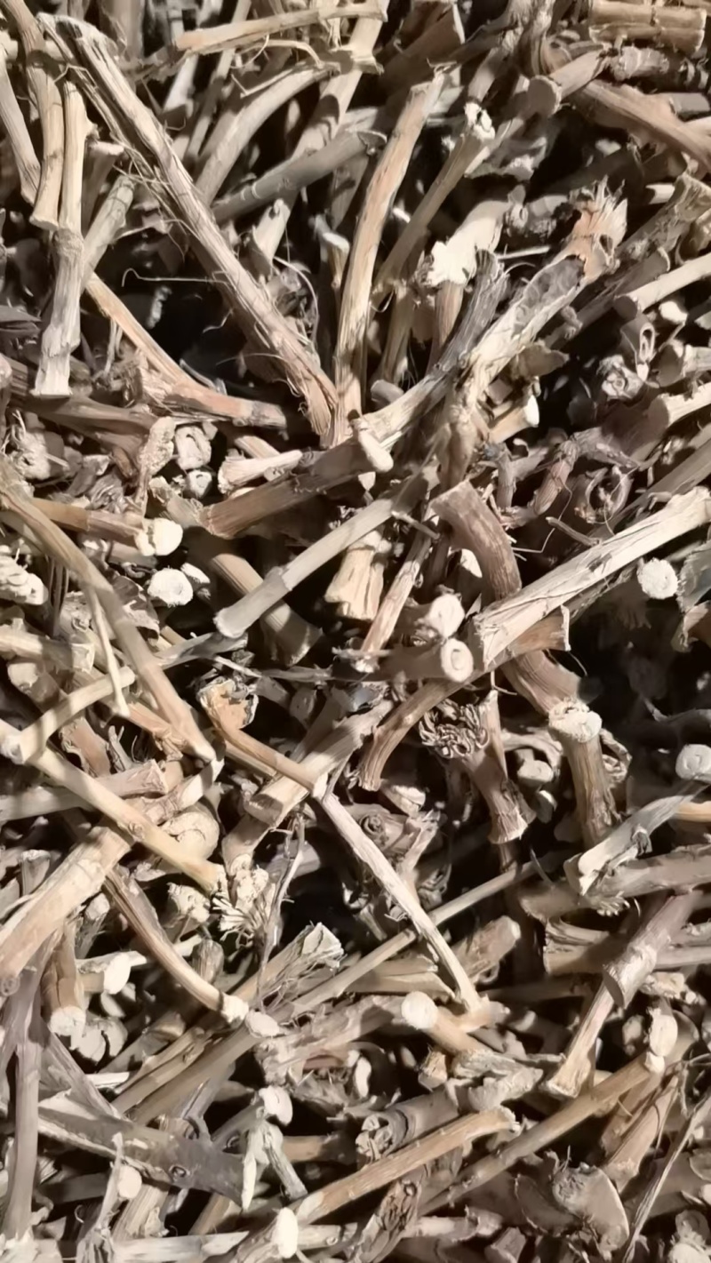云南文山阳春砂仁根实物拍摄，质量保证有需要联系