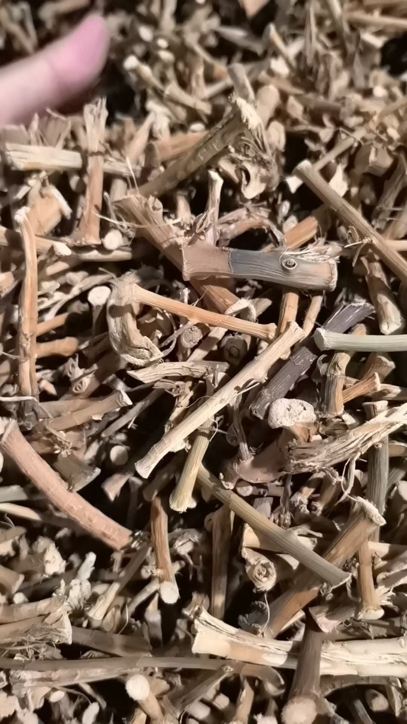 云南文山阳春砂仁根实物拍摄，质量保证有需要联系