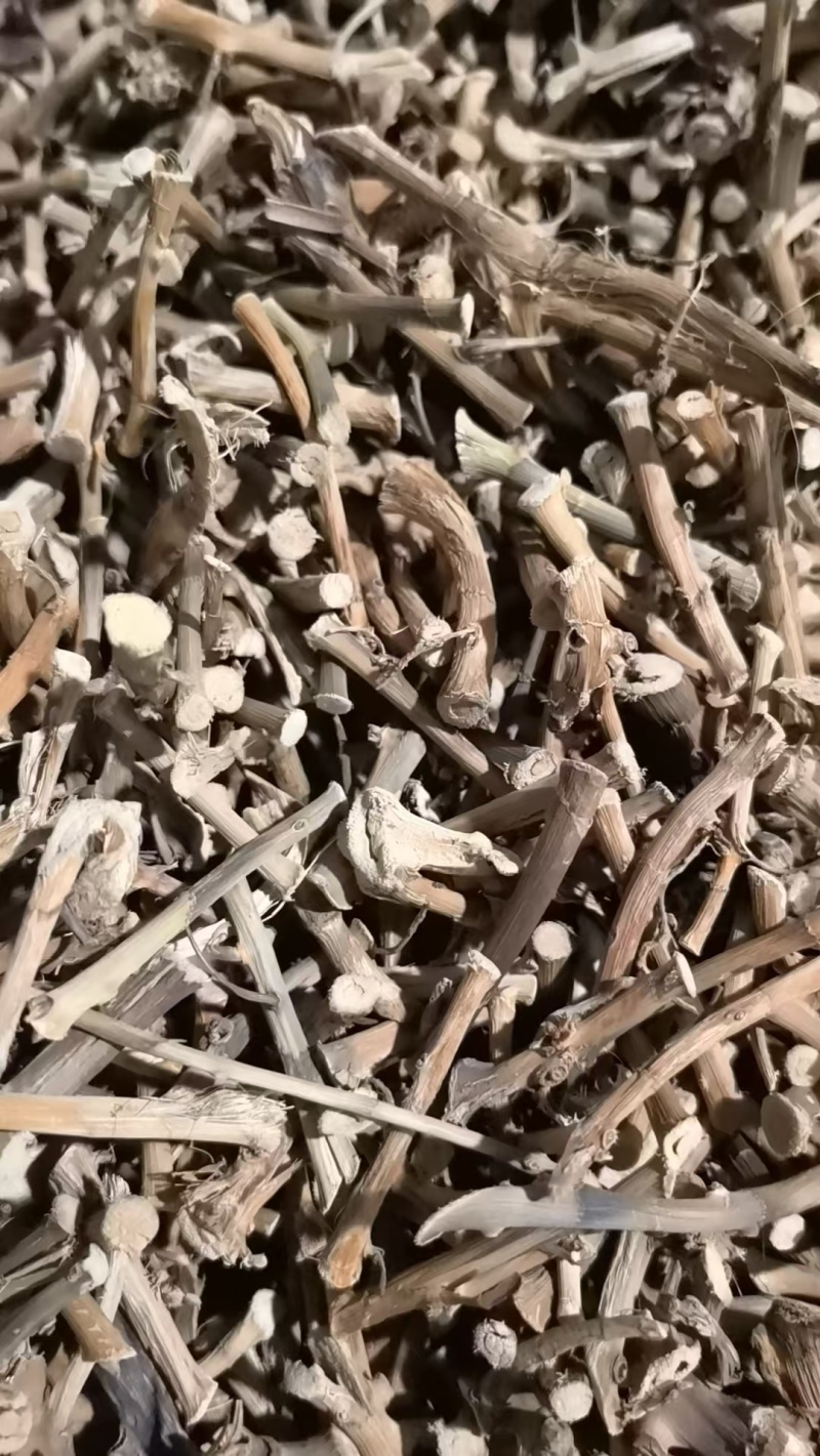 云南文山阳春砂仁根实物拍摄，质量保证有需要联系