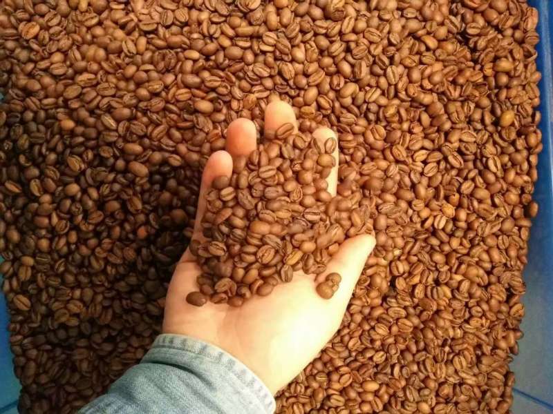 咖啡熟豆贴牌代工OEM直采定制一手工厂