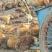 黄羽乌皮土鸡跑山鸡大量供应品质保证对接全国市场