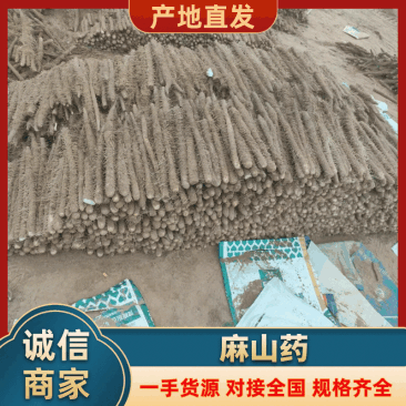 山药麻山药安阳内黄产地直发量大质优价格优惠欢迎咨询