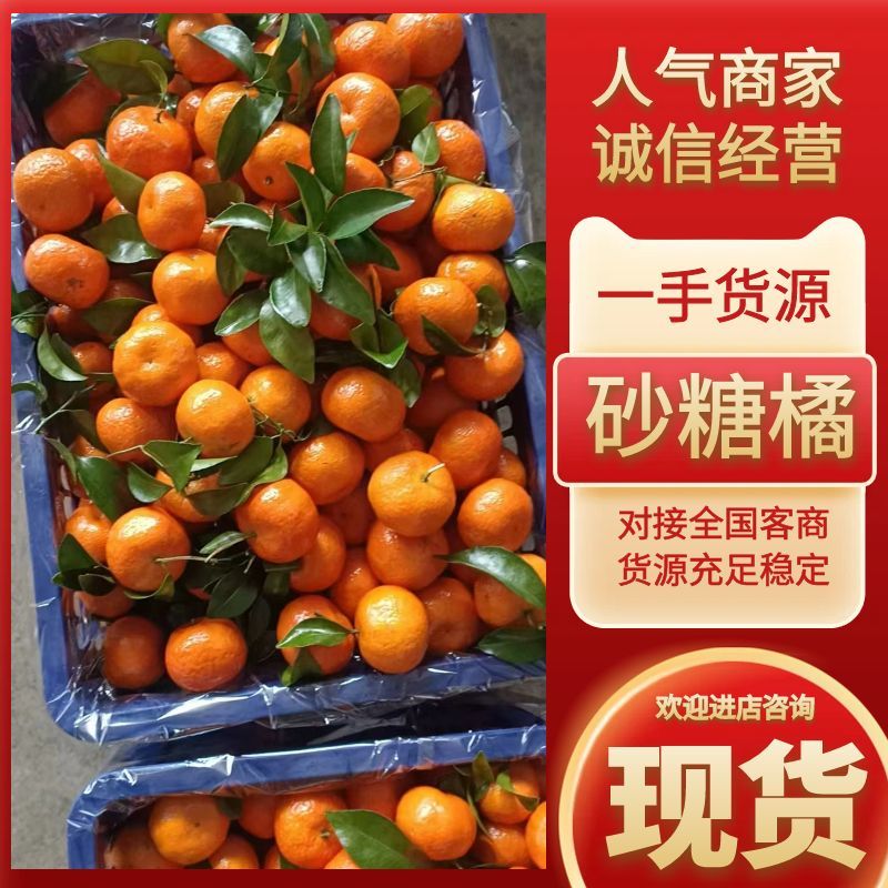 【广西荔浦砂糖橘】电商市场商超供应来电价格优惠品质保证。