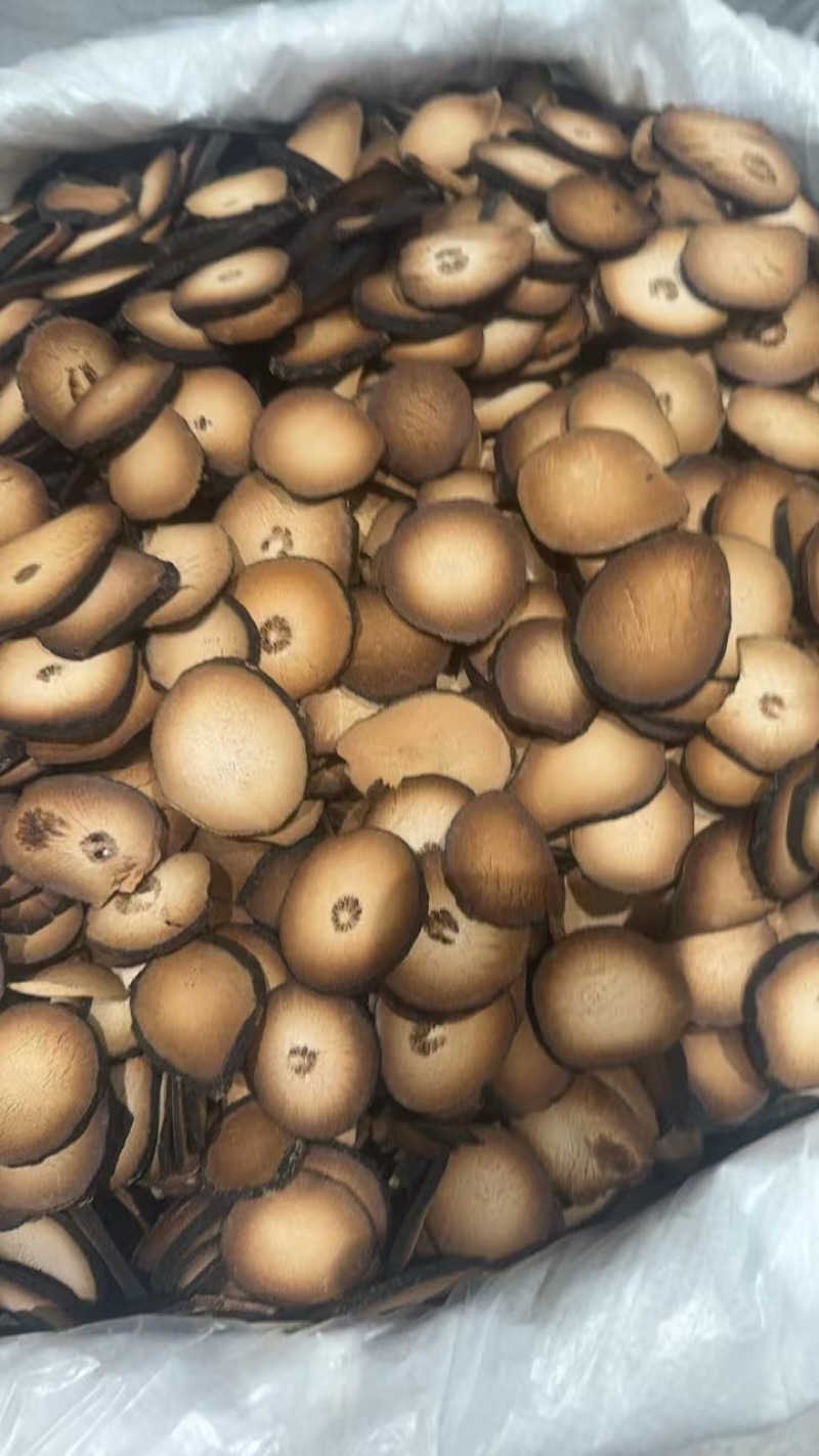 化橘红圆果片精品片，质量一手货源，货源充足批发