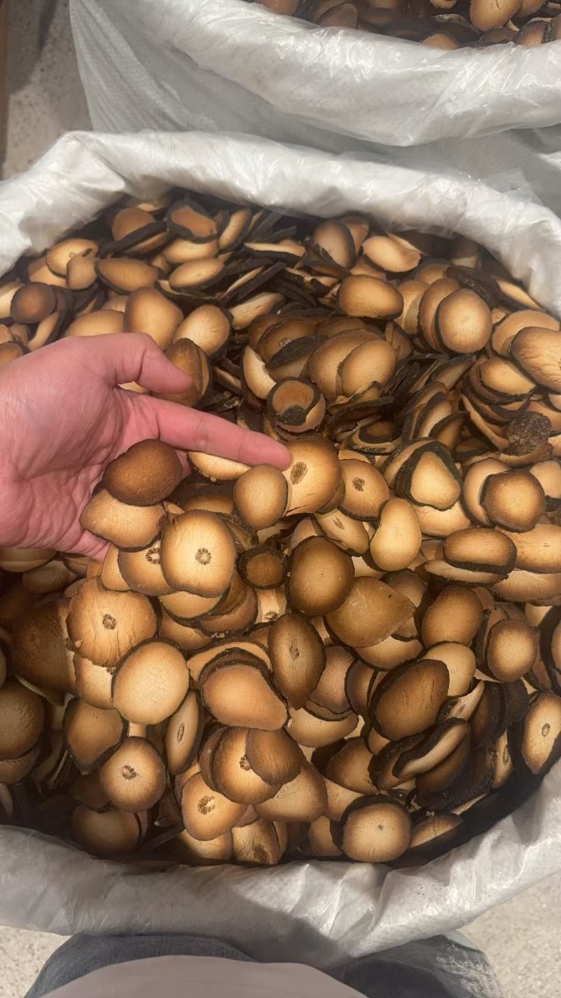 化橘红圆果片精品片，质量一手货源，货源充足批发