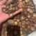 化橘红压果片圆果片品质优质量好一首货源批发
