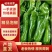 【热卖】精品泡椒301,货源充足,对接各大商超欢迎咨询