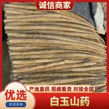 【精选山药】河南山药白玉山药大通货-价格优惠-支持看货