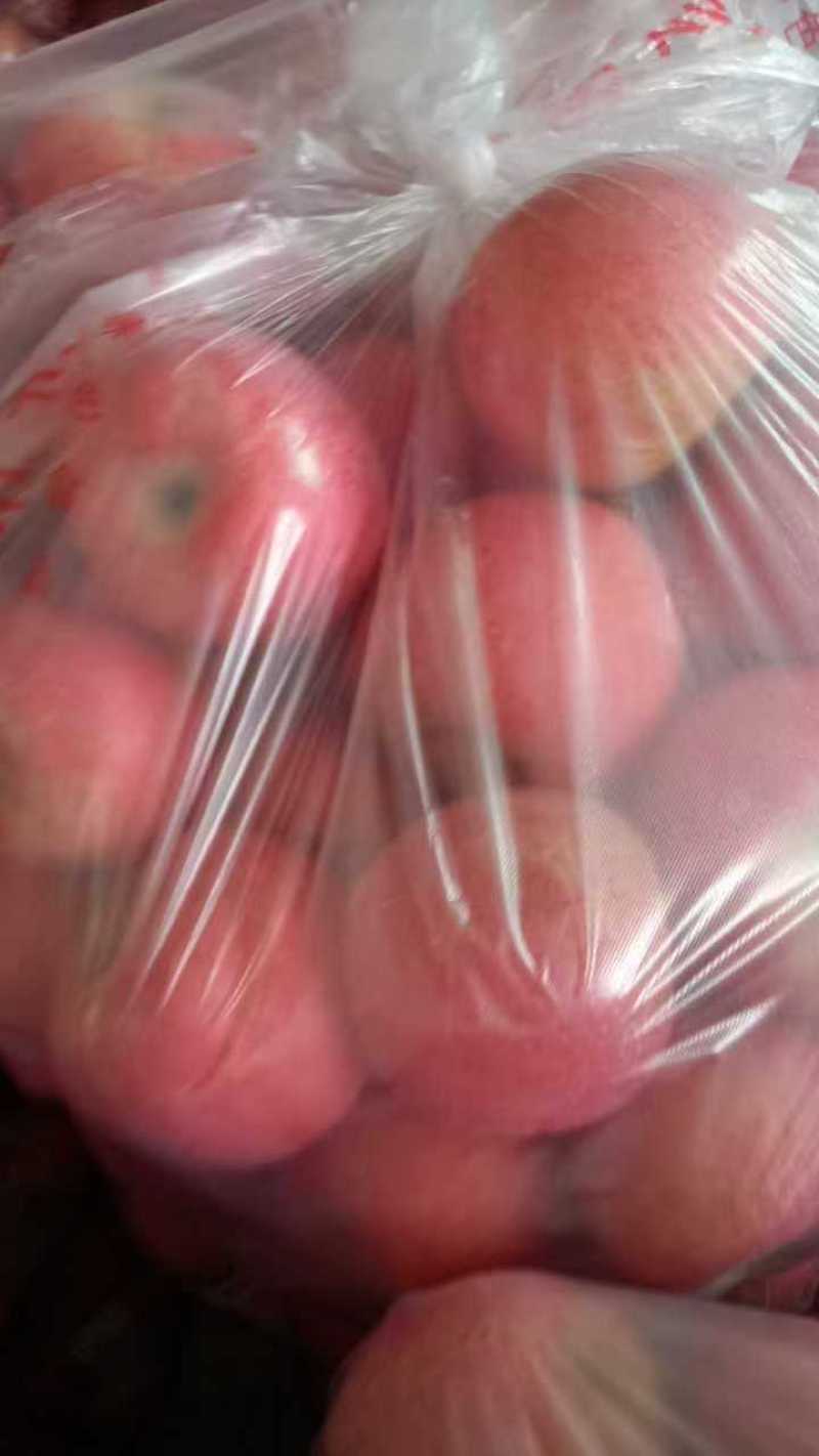 礼泉晚熟红富士纸袋果，现己大量上市，价格合理，质量好。