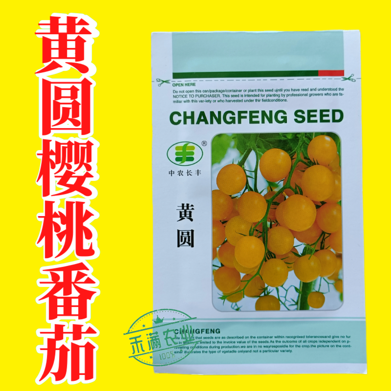 樱桃番茄种子小番茄种子水果西红柿种子口感型早熟圣女果杂交