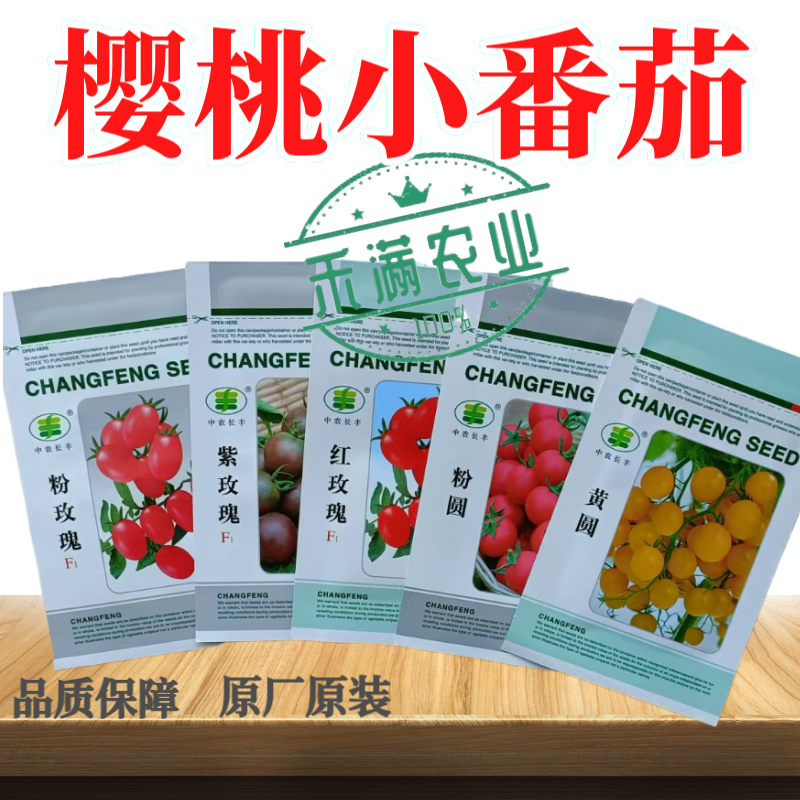 樱桃番茄种子小番茄种子水果西红柿种子口感型早熟圣女果杂交