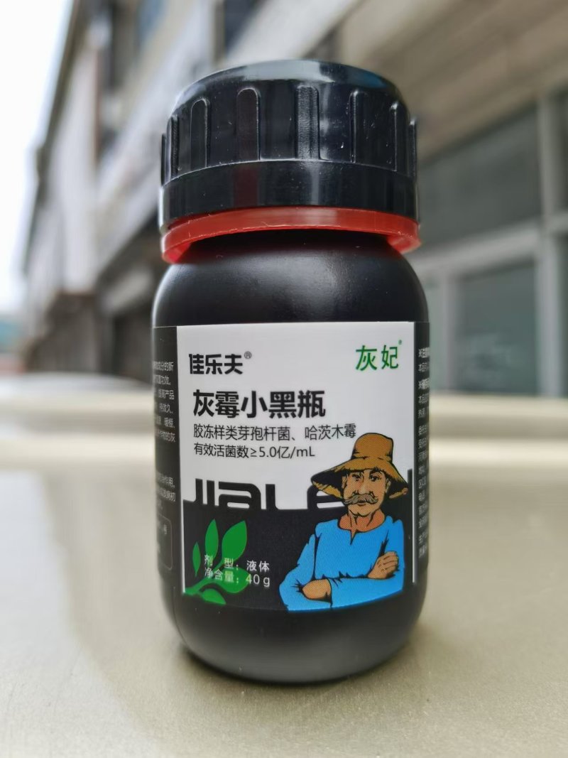 佳乐夫灰霉小黑瓶灰霉病叶霉病菌核病腐霉病预防治疗生物菌