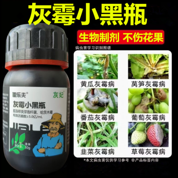 佳乐夫灰霉小黑瓶灰霉病叶霉病菌核病腐霉病预防治疗生物菌