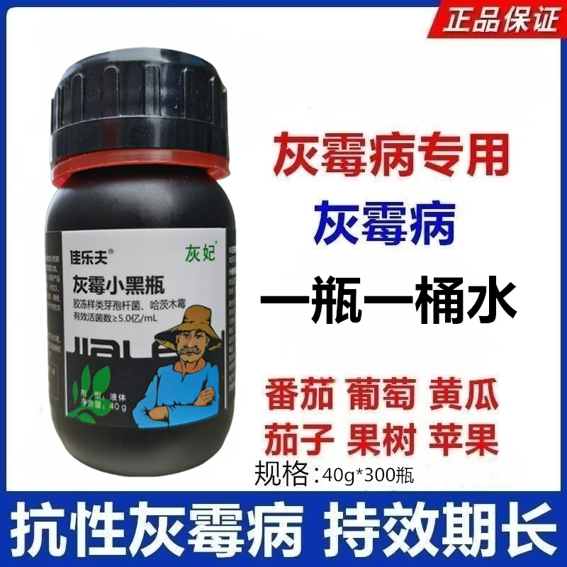 佳乐夫灰霉小黑瓶灰霉病叶霉病菌核病腐霉病预防治疗生物菌