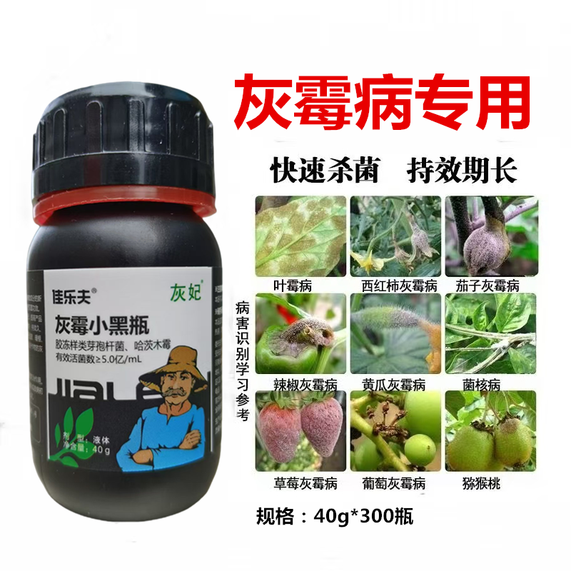 佳乐夫灰霉小黑瓶灰霉病叶霉病菌核病腐霉病预防治疗生物菌