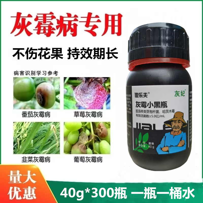 佳乐夫灰霉小黑瓶灰霉病叶霉病菌核病腐霉病预防治疗生物菌