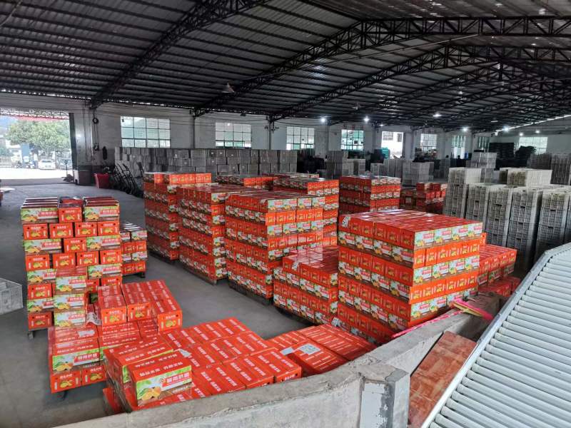 赣南脐橙公司福利产地承接抖音淘宝京东社区团购代发日发万斤