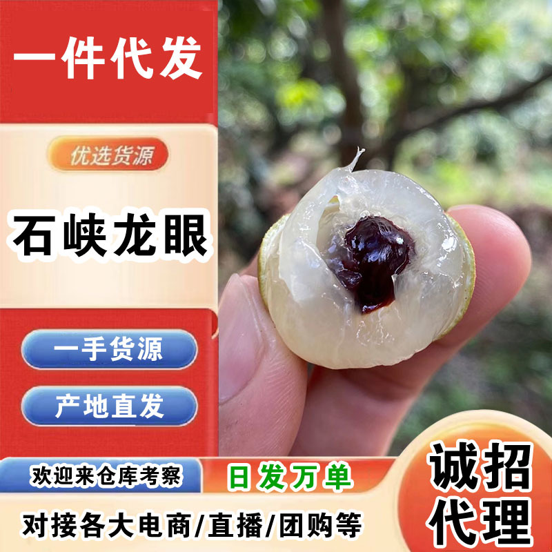 【招代理】石峡龙眼/一件代发/产地直发/一手货源