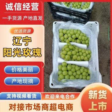 辽宁阳光玫瑰葡萄产地直发一手货视频看货量大优惠