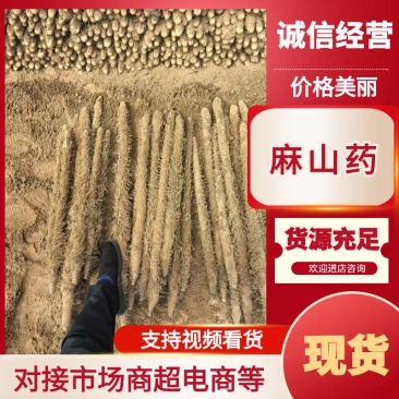河南安阳优质麻山药产地直发品质保证欢迎选购