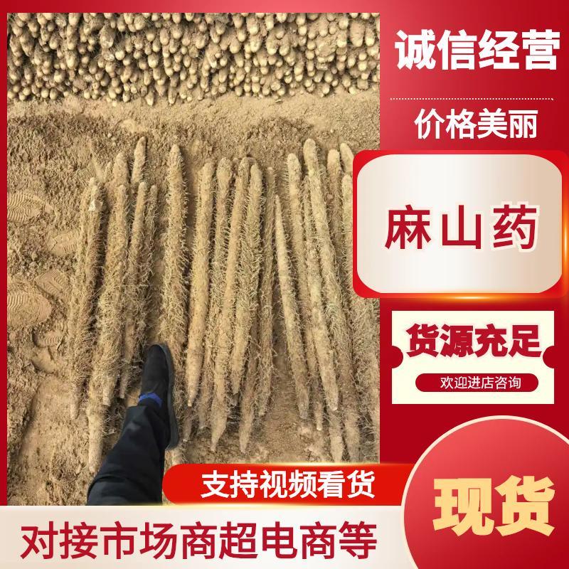 河南安阳优质麻山药产地直发品质保证欢迎选购