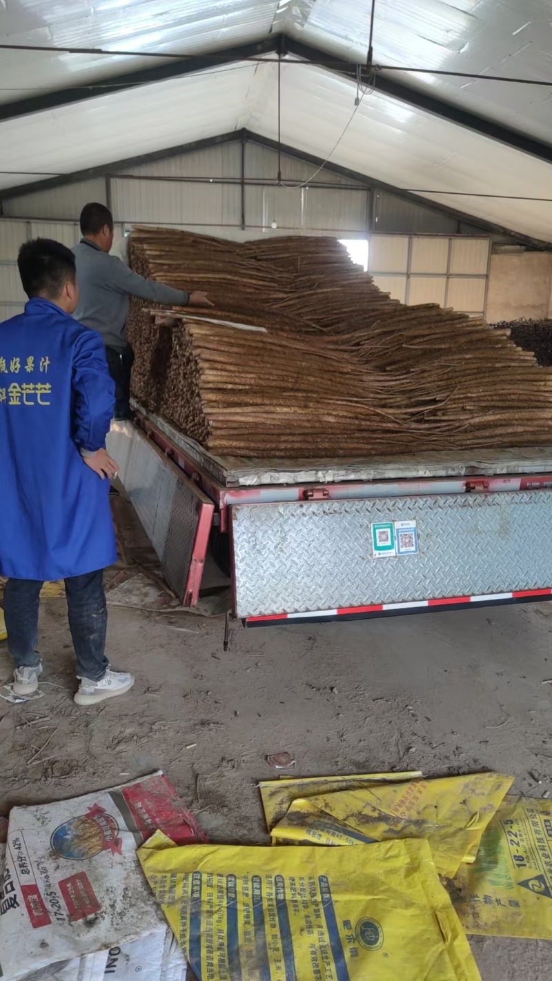 【山药】价格可谈来电协商货源充足
