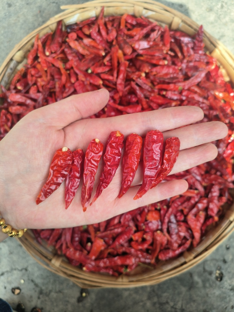 【热卖】云南干小米辣/椒中玉/越南小米辣/辣椒王小个